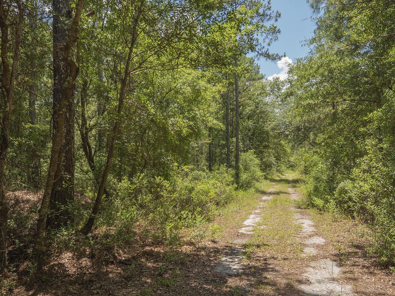 Vacant Southwest Hike Lake Road Madison, FL 32340 - Photo 14 of 35