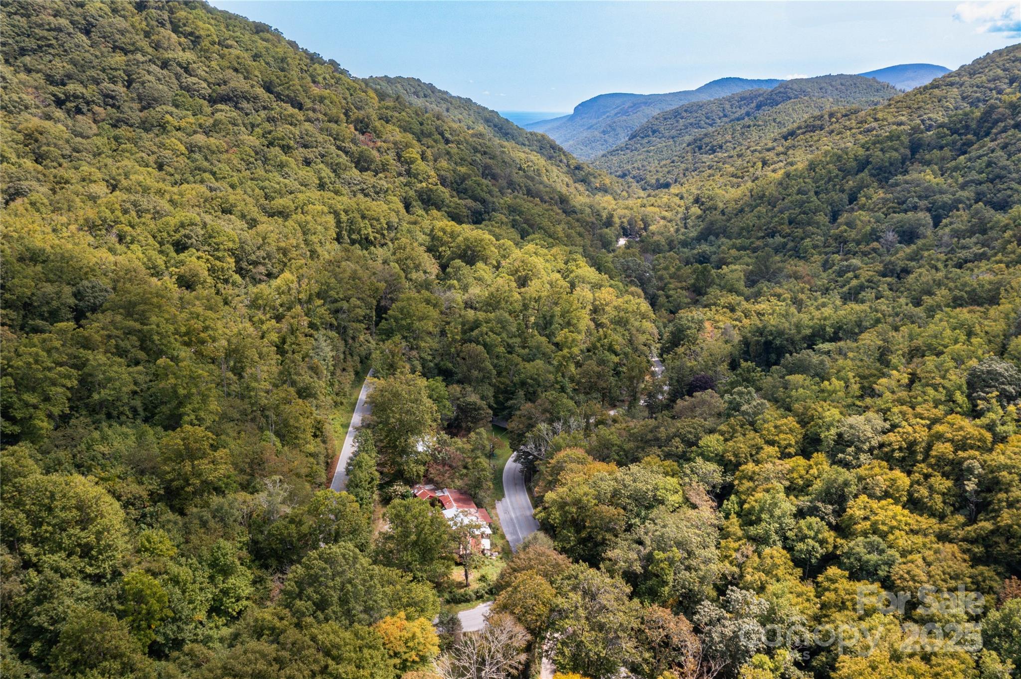 3290 Gerton Highway Gerton, NC 28735 - Photo 34 of 36 a view of a forest with mountains in the background