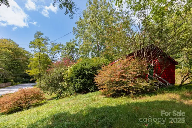 a view of a yard with plants and large trees
