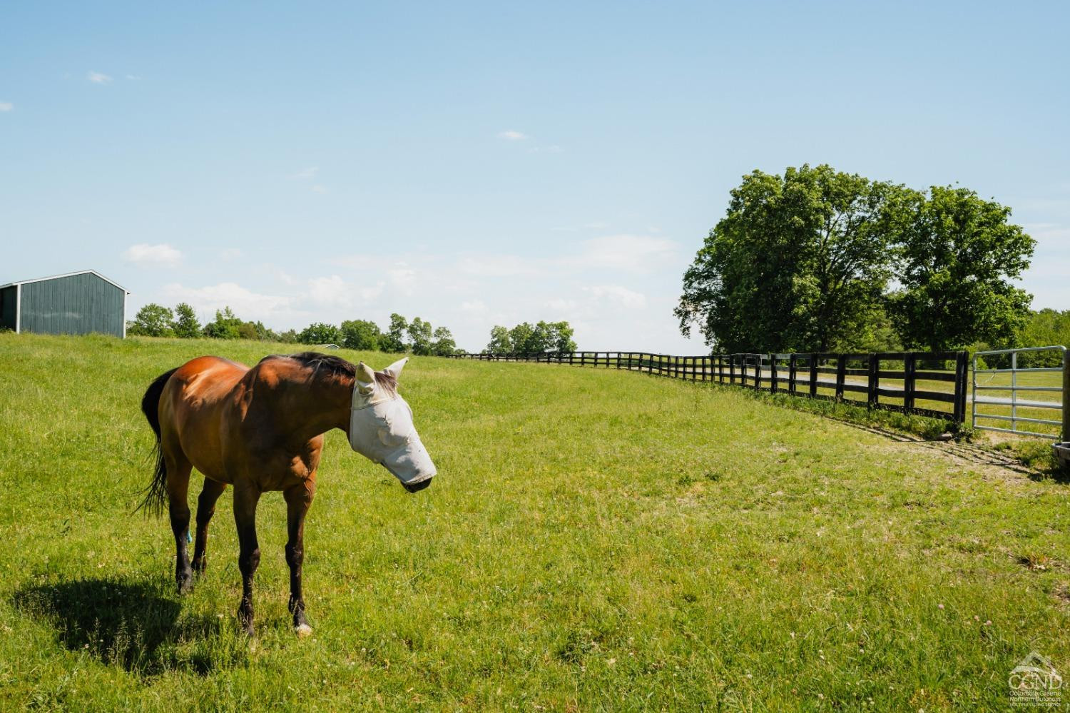 540 County 17 Route Valatie, NY 12184 - Photo 46 of 68 Photo 46