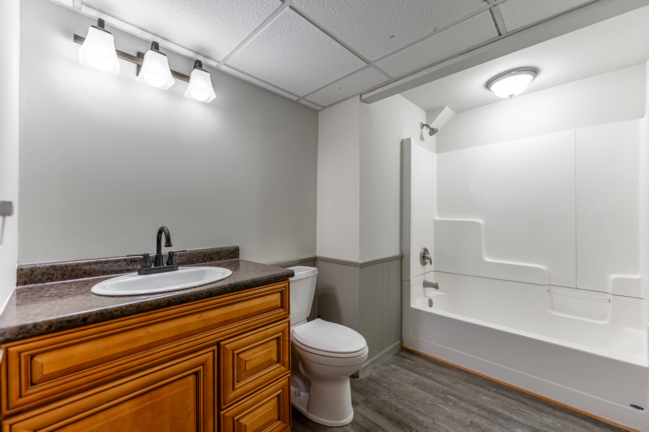 1506 Pier Drive Davis, IL 61019 - Photo 30 of 47 a bathroom with a sink a toilet and shower