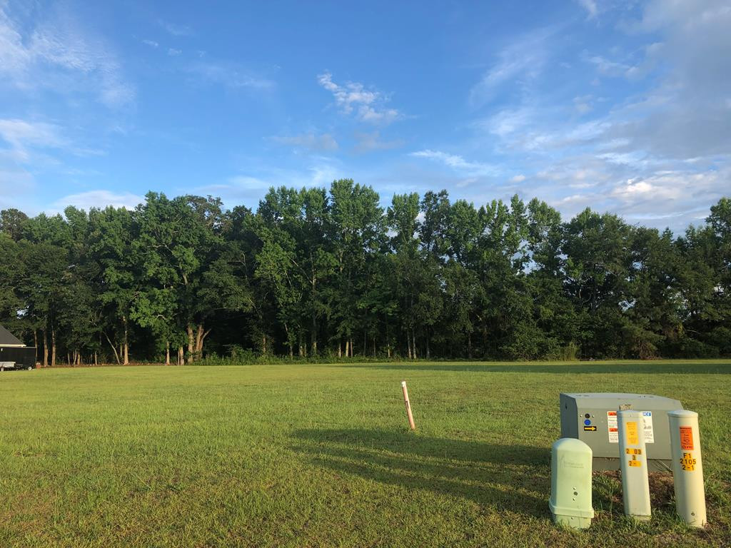 115 Damascus Road Sumter, SC 29153 - Photo 8 of 16 Photo 8