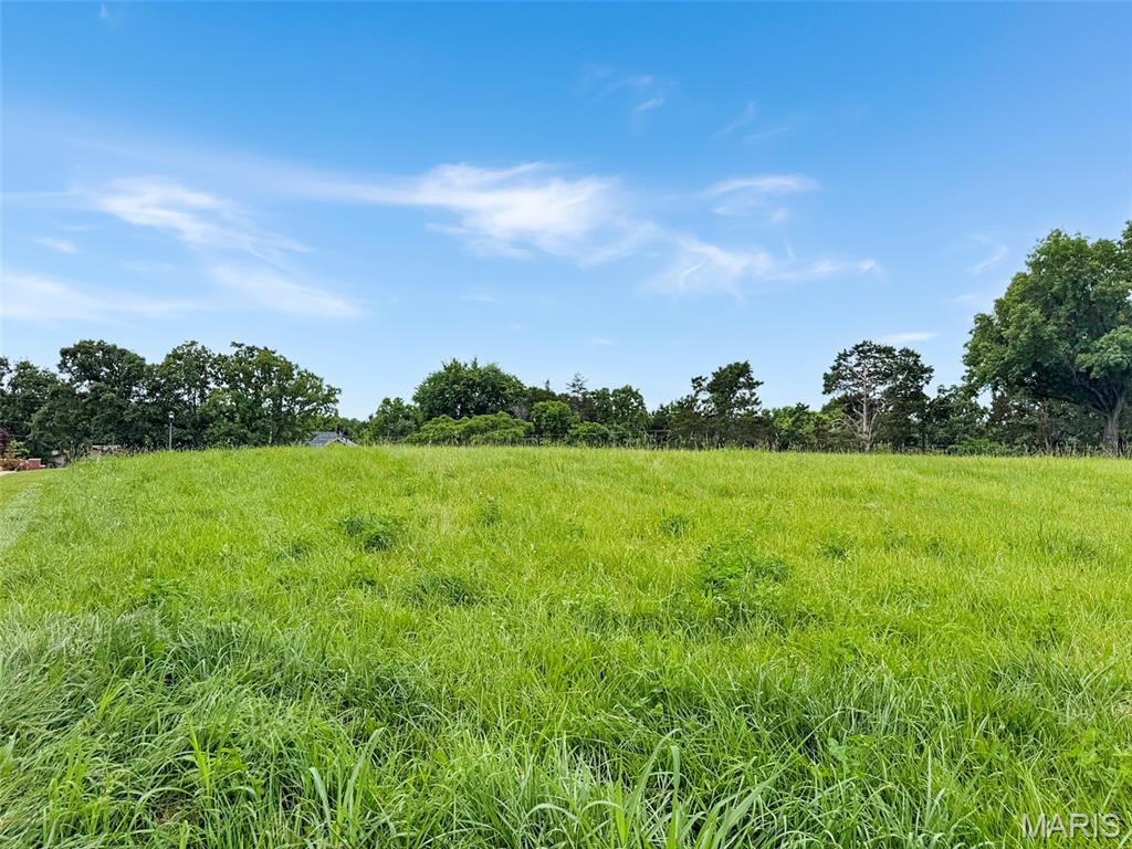Lot 5 North Four Mile Road Washington, MO 63090 - Photo 3 of 4
