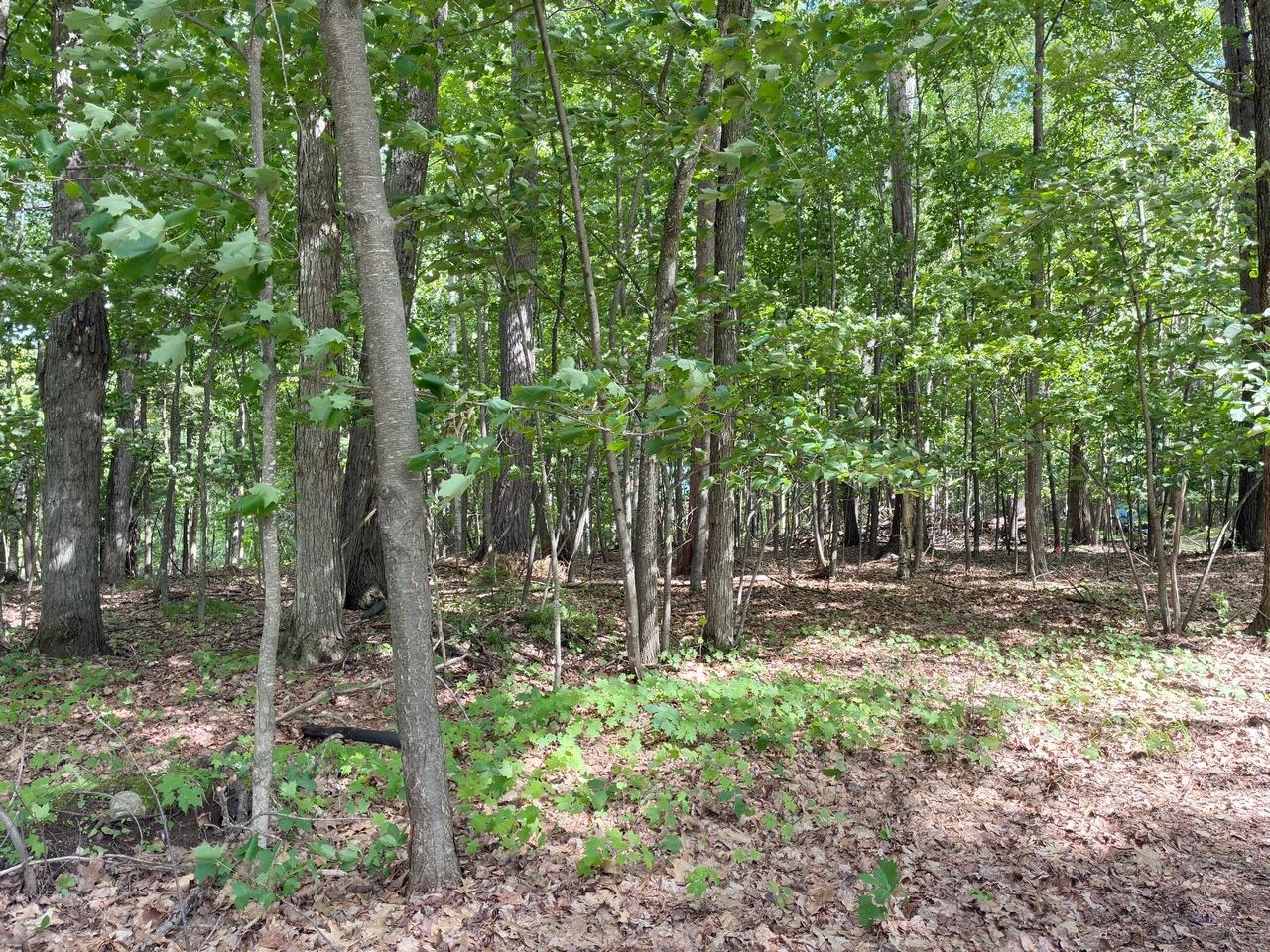 On Kein Road, Unit LOT 12 Mercer, WI 54547 - Photo 14 of 20 Gallery Image 14