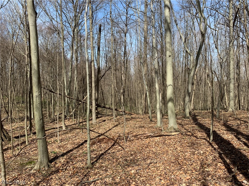 Crawford Road Homerville, OH 44235 - Photo 21 of 35 Gallery Image 21