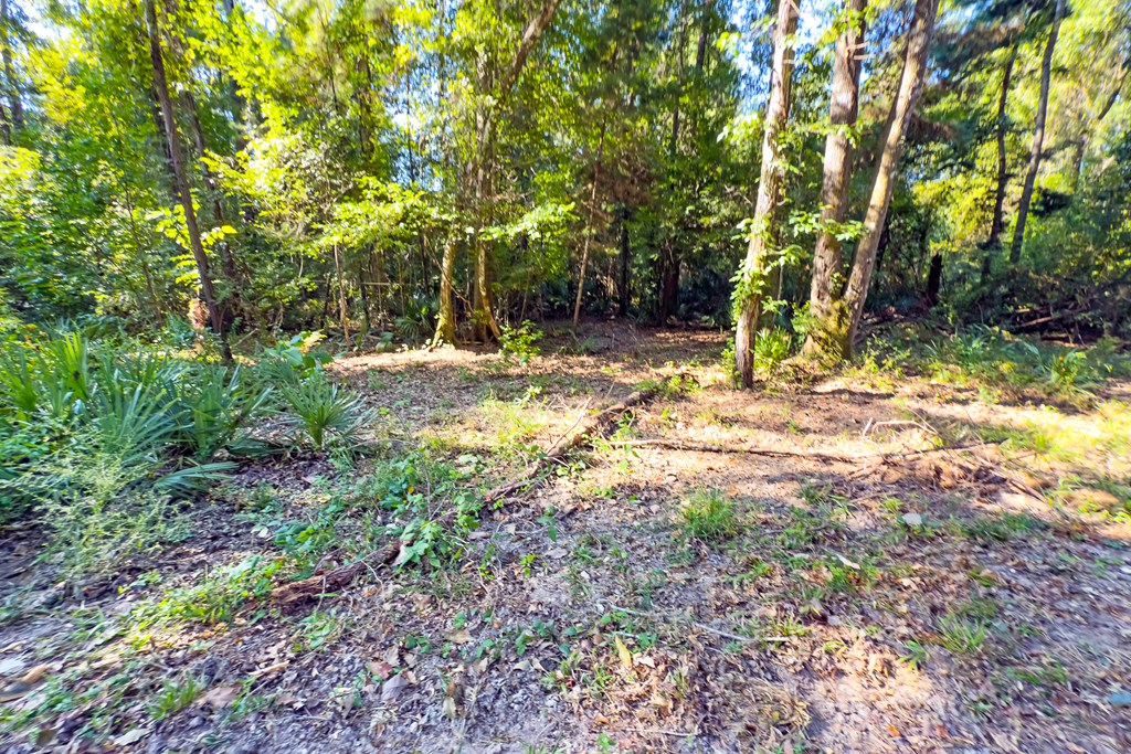 255 Riverside Circle Wewahitchka, FL 32465 - Photo 11 of 14