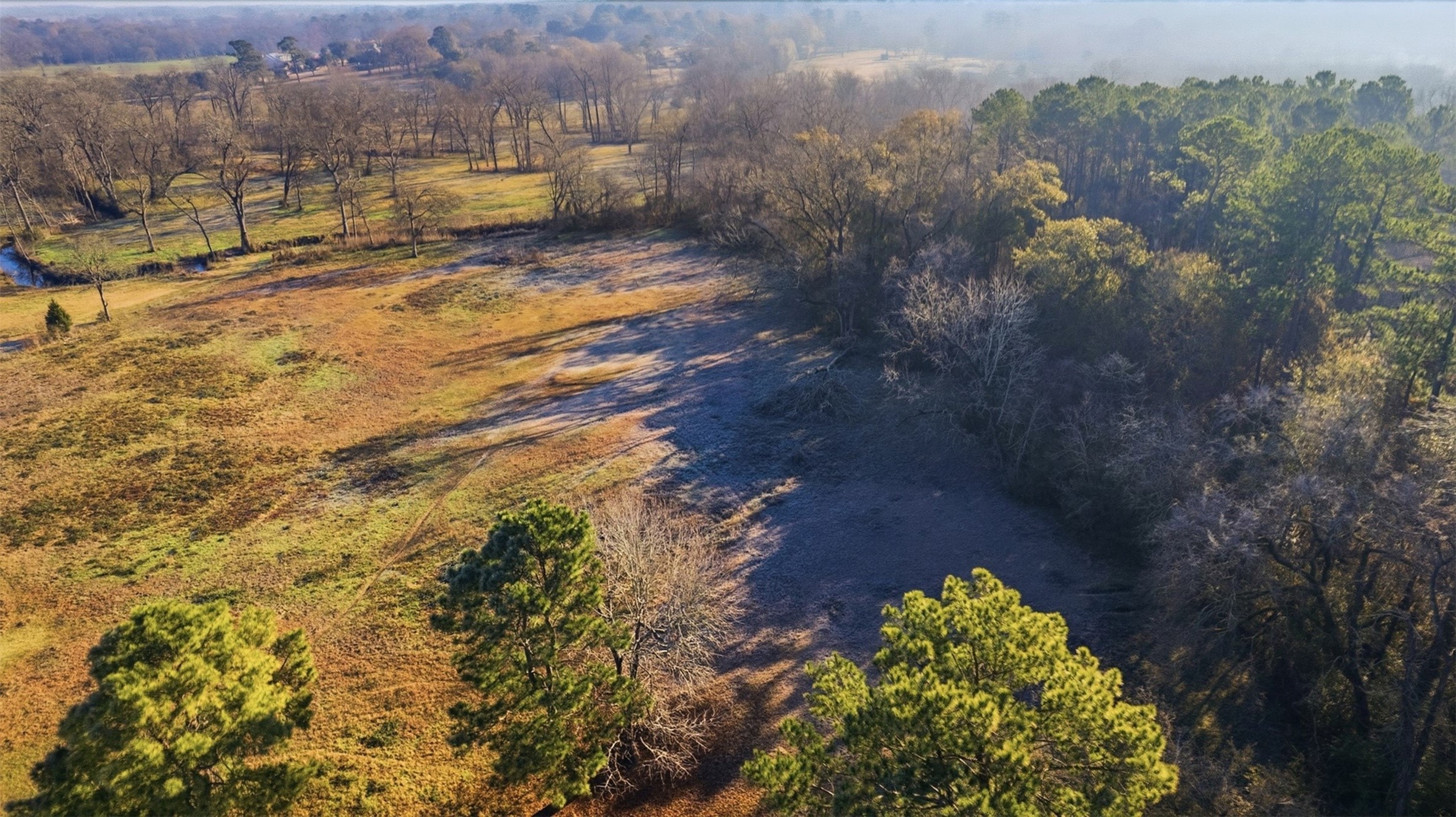 4027 Spring Branch Road Montgomery, TX 77316 - Photo 5 of 32 a view of a yard with outside space