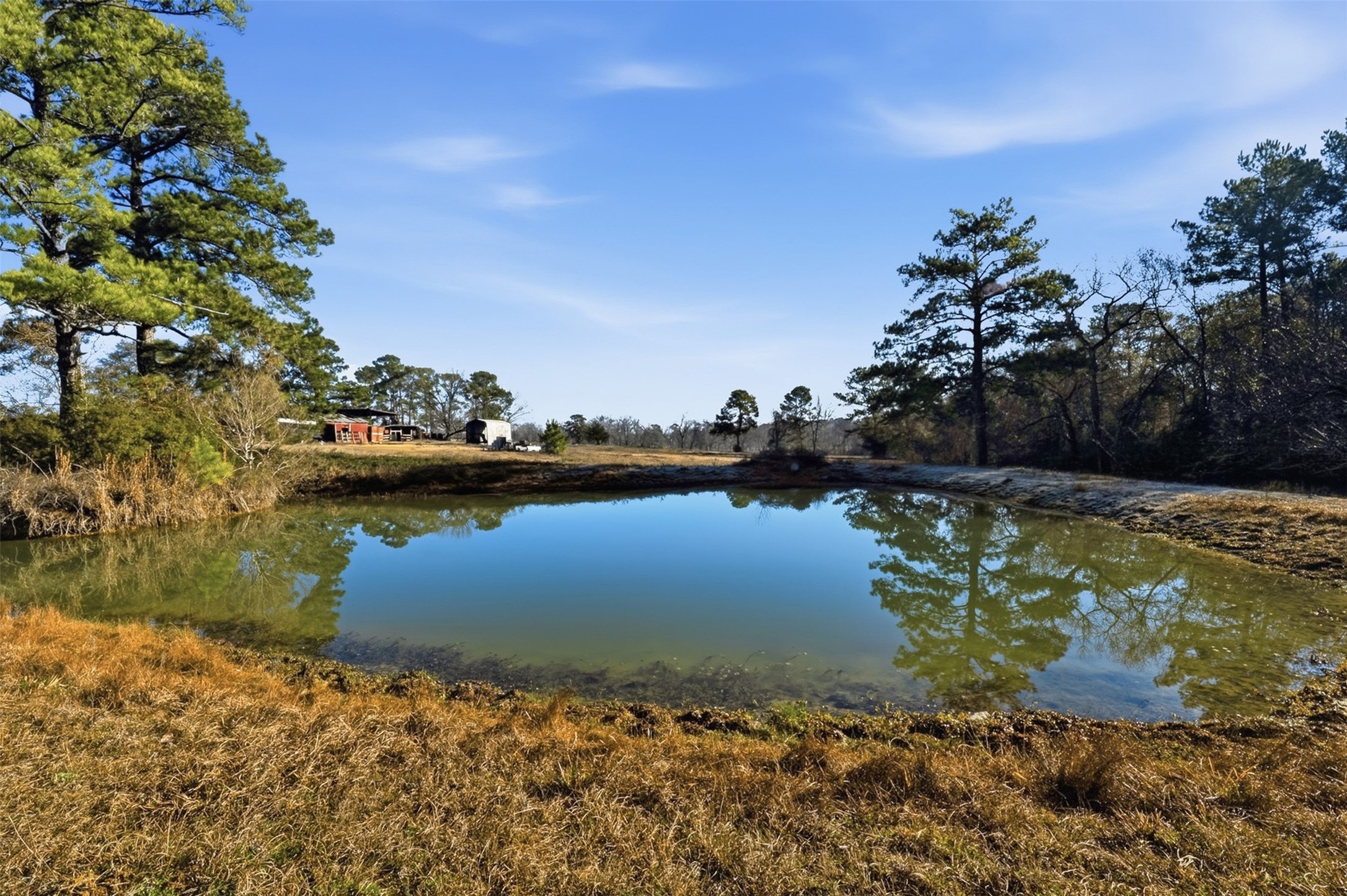 4027 Spring Branch Road Montgomery, TX 77316 - Photo 10 of 32 a view of a lake with a yard