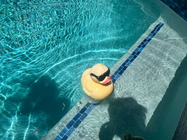 $799,000 | 21023 Rustlewood Avenue, Boca Raton, FL 33428