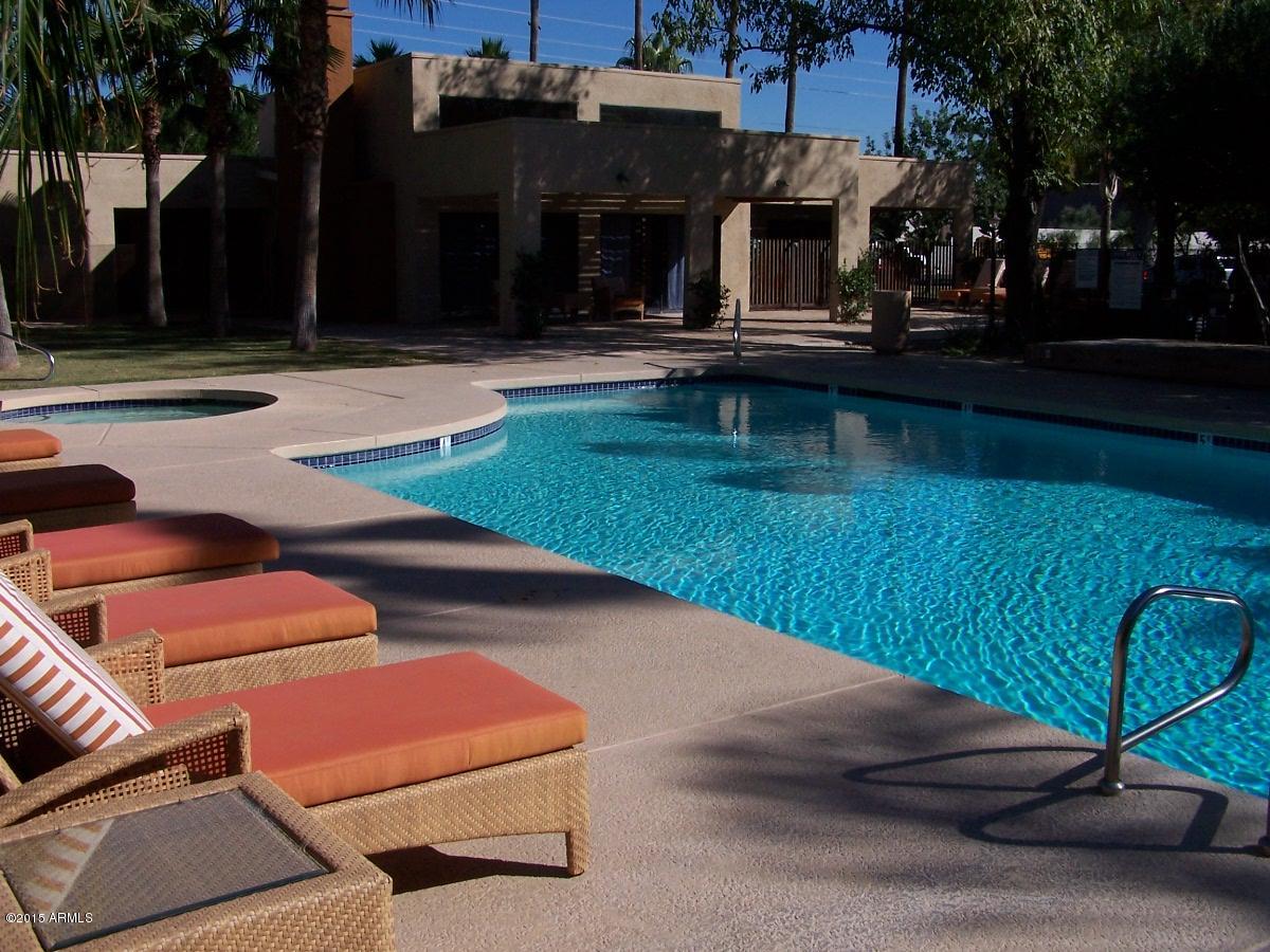 3500 North Hayden Road, Unit 309 Scottsdale, AZ 85251 - Photo 11 of 12 trifilo 10 scottsdale az homes for rent