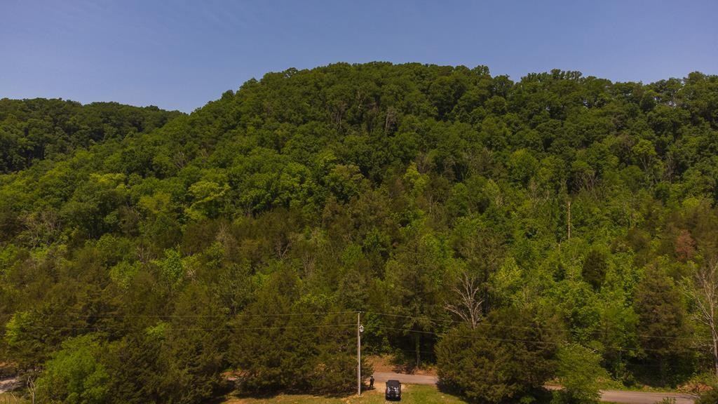 468 Co Road Englewood, TN 37329 - Photo 2 of 33