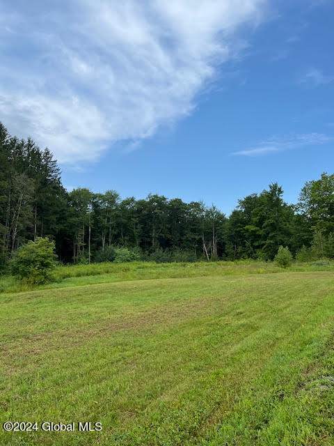 547 Delevan Road Duanesburg, NY 12053 - Photo 2 of 11 3