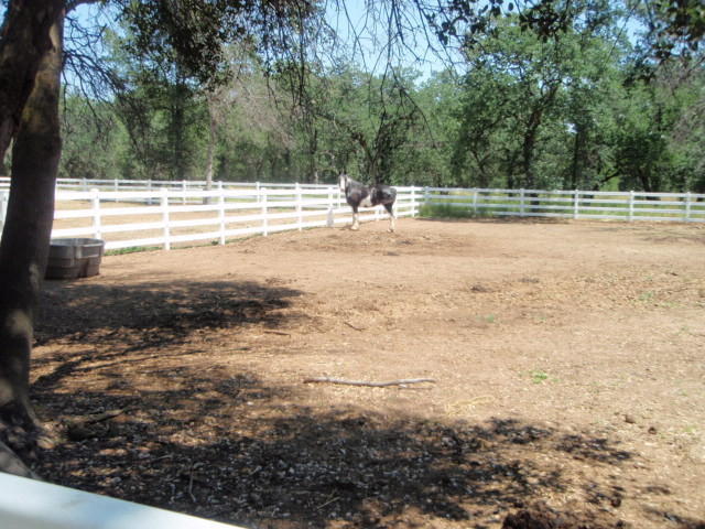 19516 Gas Point Road Cottonwood, CA 96022 - Photo 17 of 19 Property