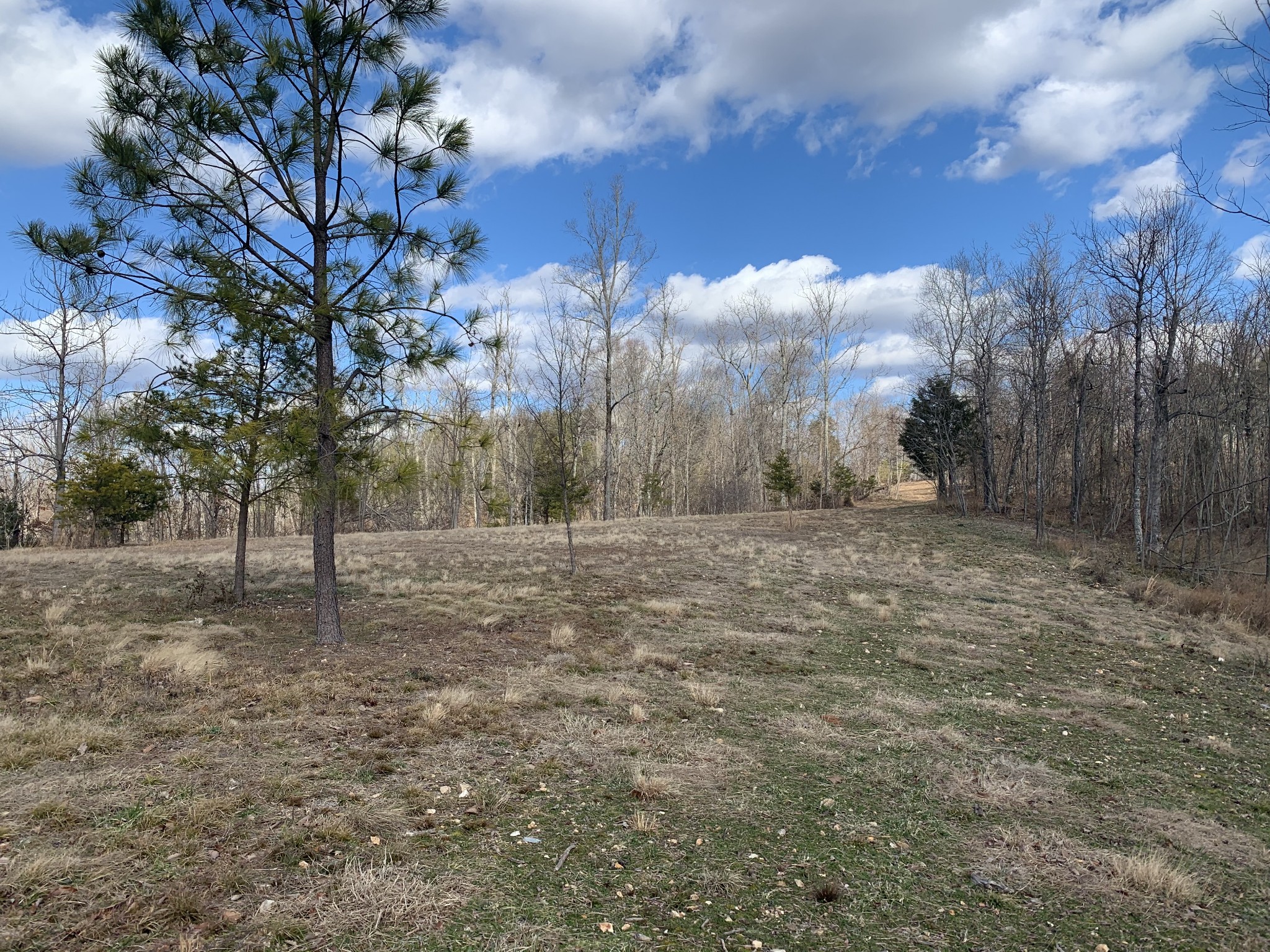 87 New Era Bluff Road Linden, TN 37096 - Photo 8 of 20 Gallery Image 8