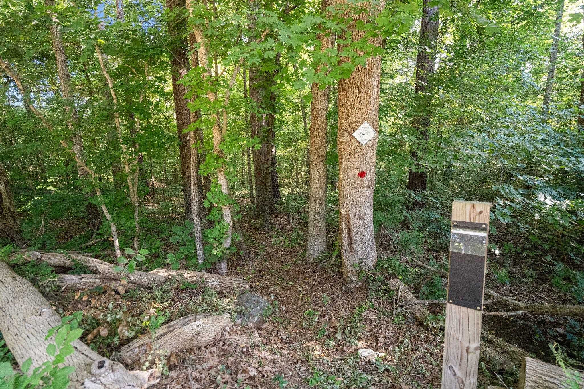 4717 Riverside Drive Durham, NC 27704 - Photo 33 of 38 Photo 33