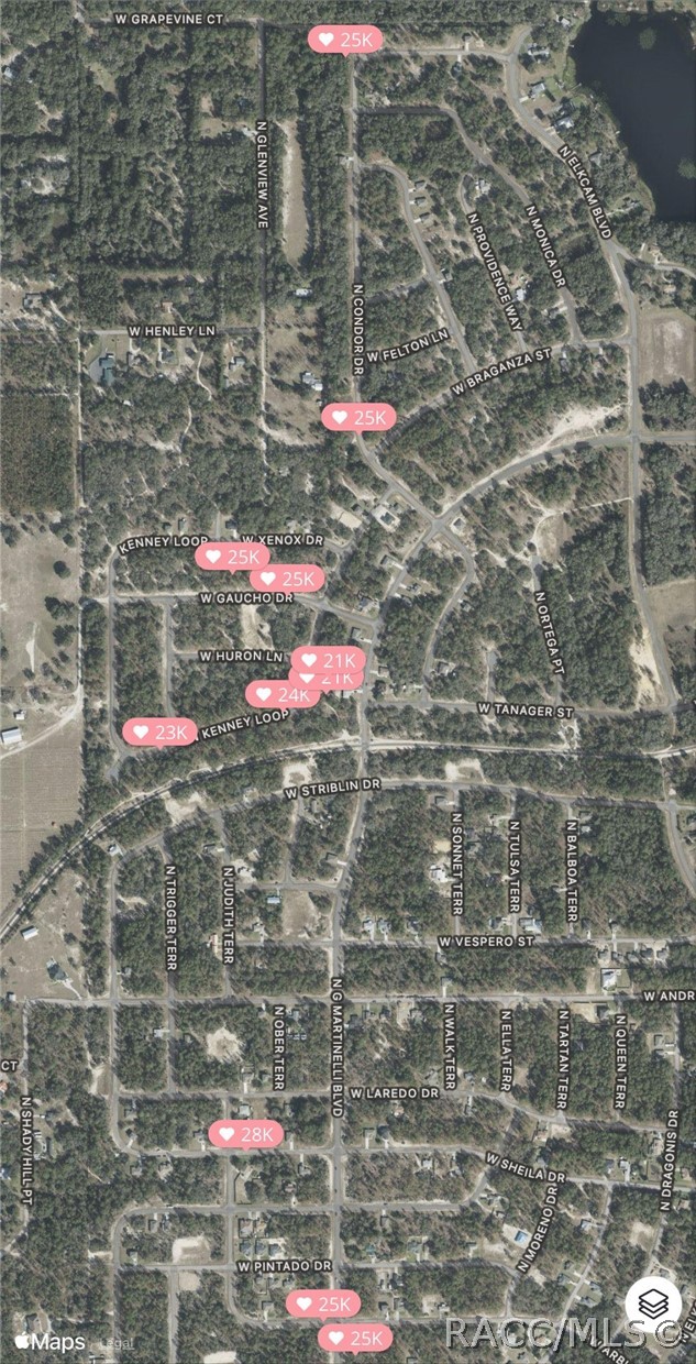 443 West Mickey Mantle Path Hernando, FL 34442 - Photo 66 of 78