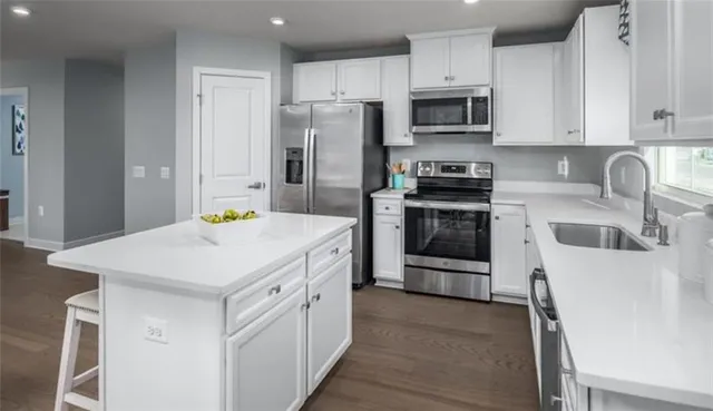 a kitchen that has a sink cabinets and stainless steel appliances