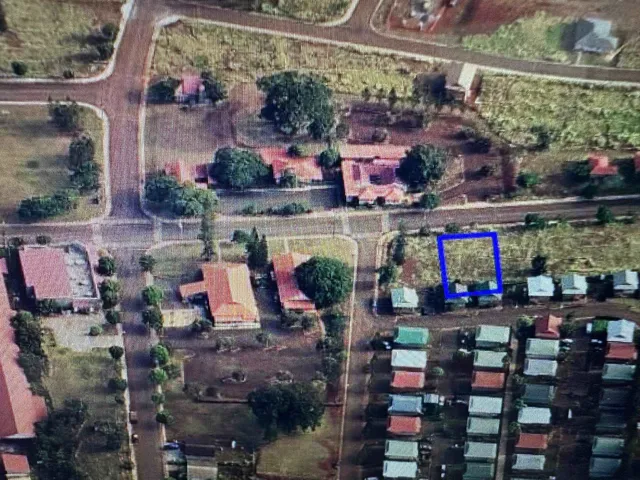 a market with a variety of fruits and vegetables