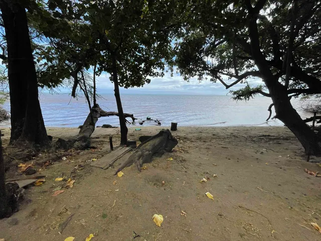a view of an ocean and beach