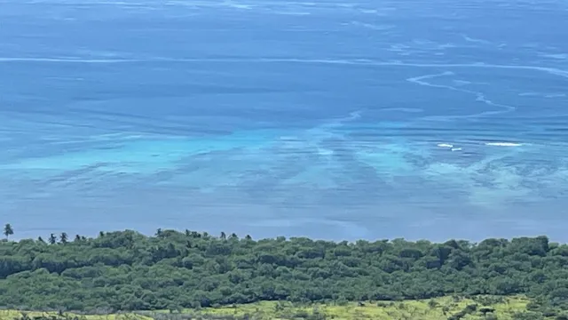 a view of a big yard