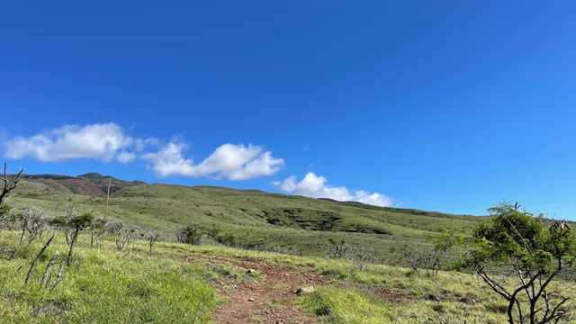 a view of a mountain