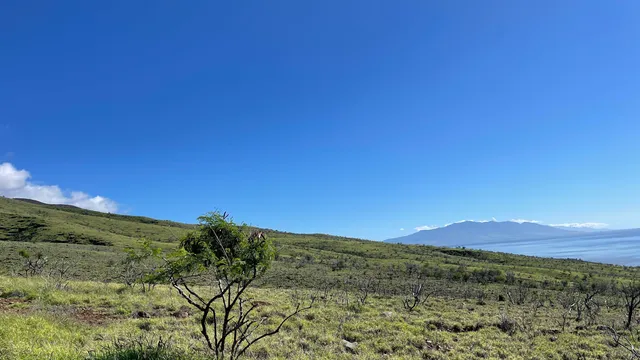 a view of mountain with sunset in background