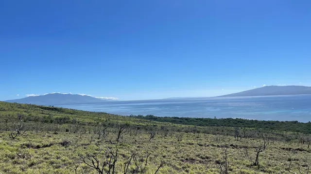 a view of a dry yard with wooden fence