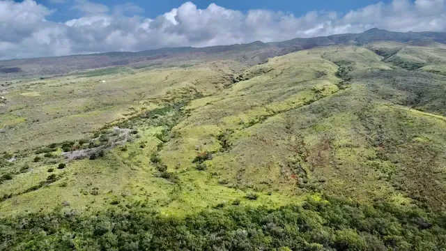 a view of a area with a yard