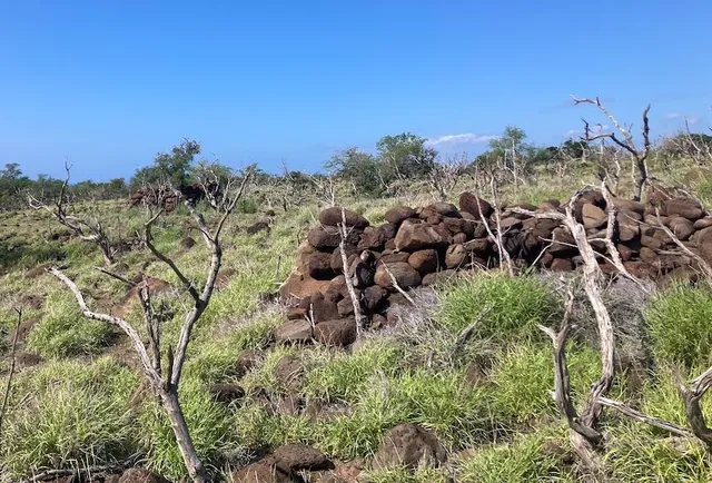 a view of mountains in the background