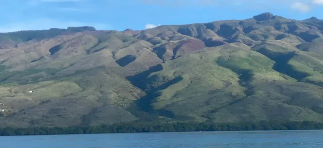 a view of backyard with deck and trees
