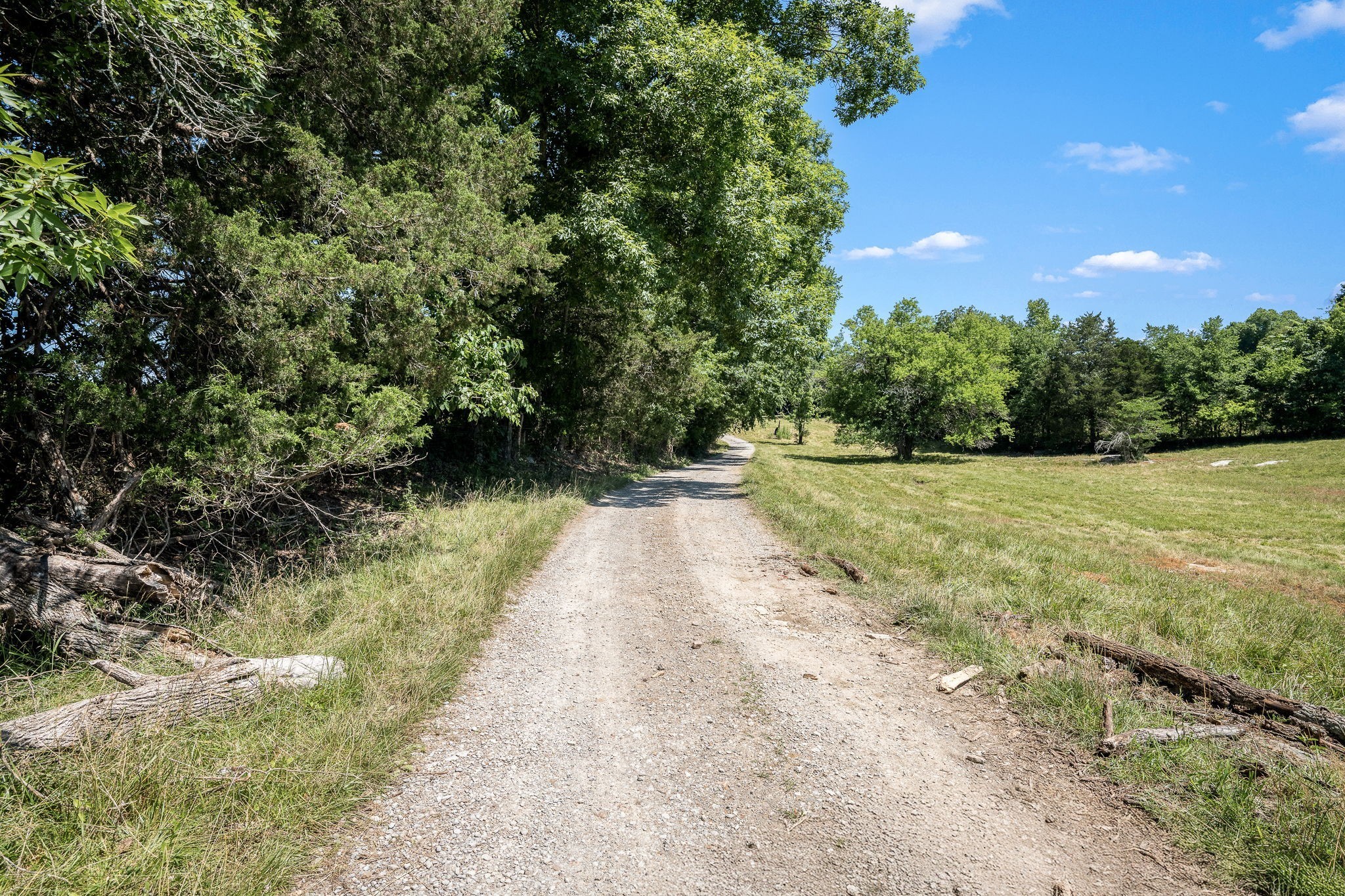 505 Philippi Road Wartrace, TN 37183 - Photo 10 of 79 Gallery Image 10