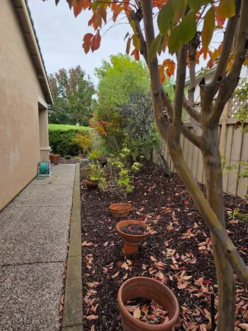 a view of a backyard with pathway