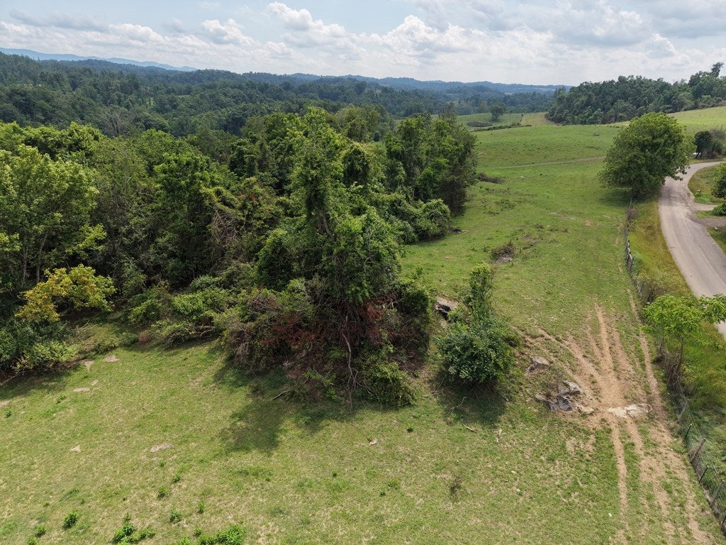 0 Old Eleven Road Marion, VA 24354 - Photo 7 of 29 Gallery Image 7