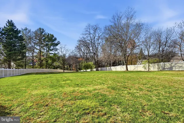 a view of outdoor space with trees all around