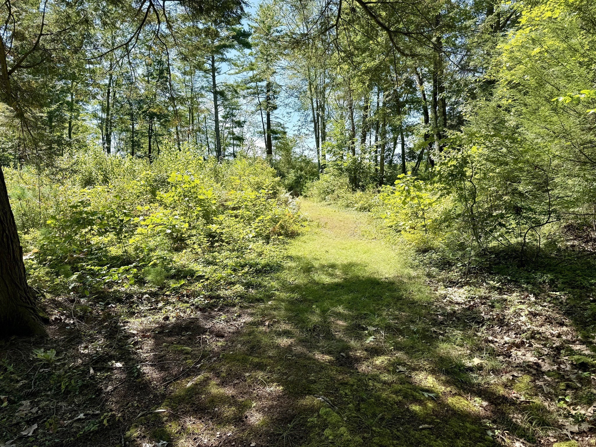0 King Road Athol, MA 01331 - Photo 4 of 9 Gallery Image 4