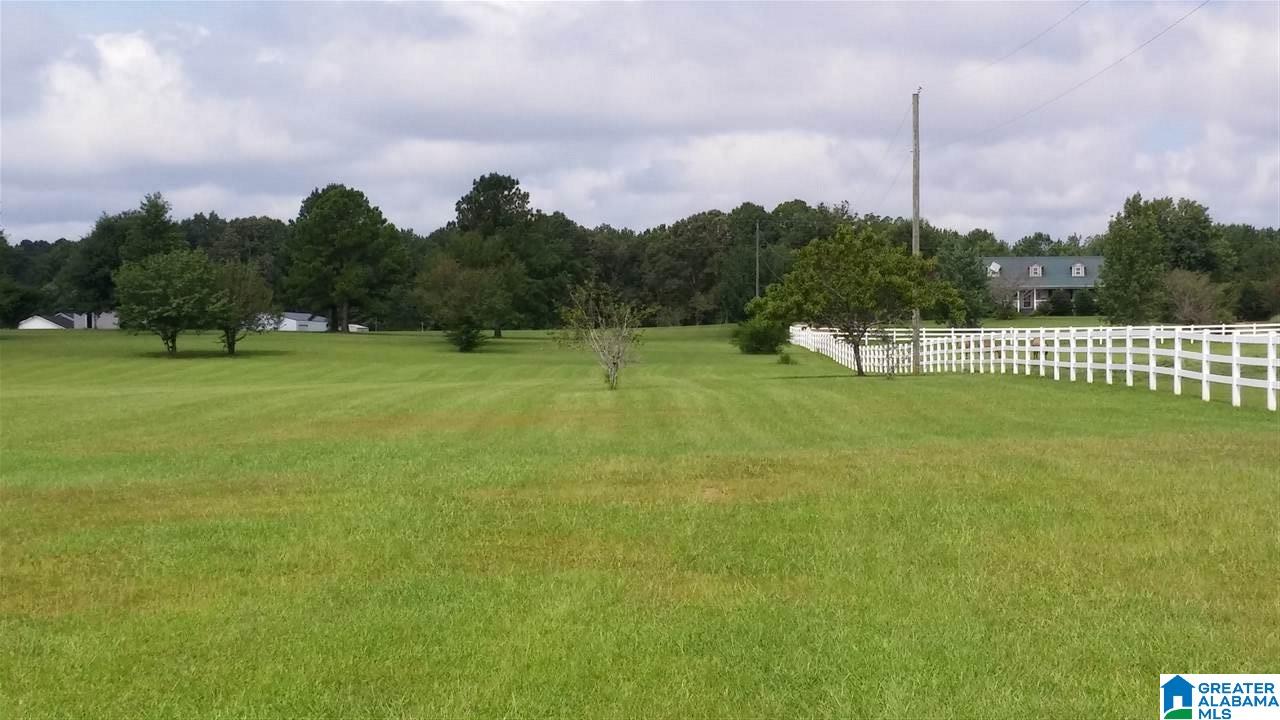 4054 Odens Mill Road Sylacauga, AL 35151 - Photo 7 of 26