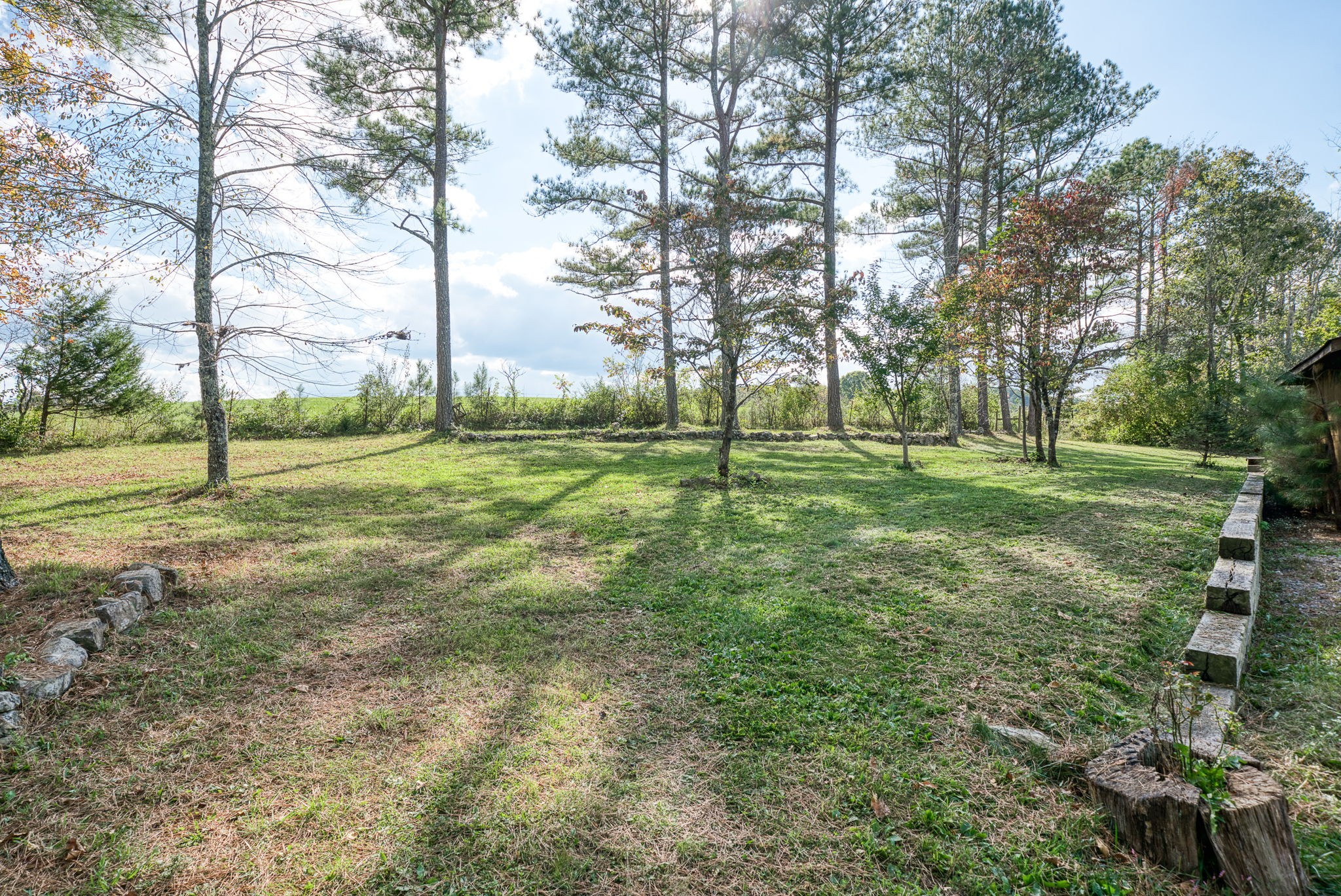 944 Flat Rock Road Crossville, TN 38572 - Photo 31 of 51 a view of a field with a tree
