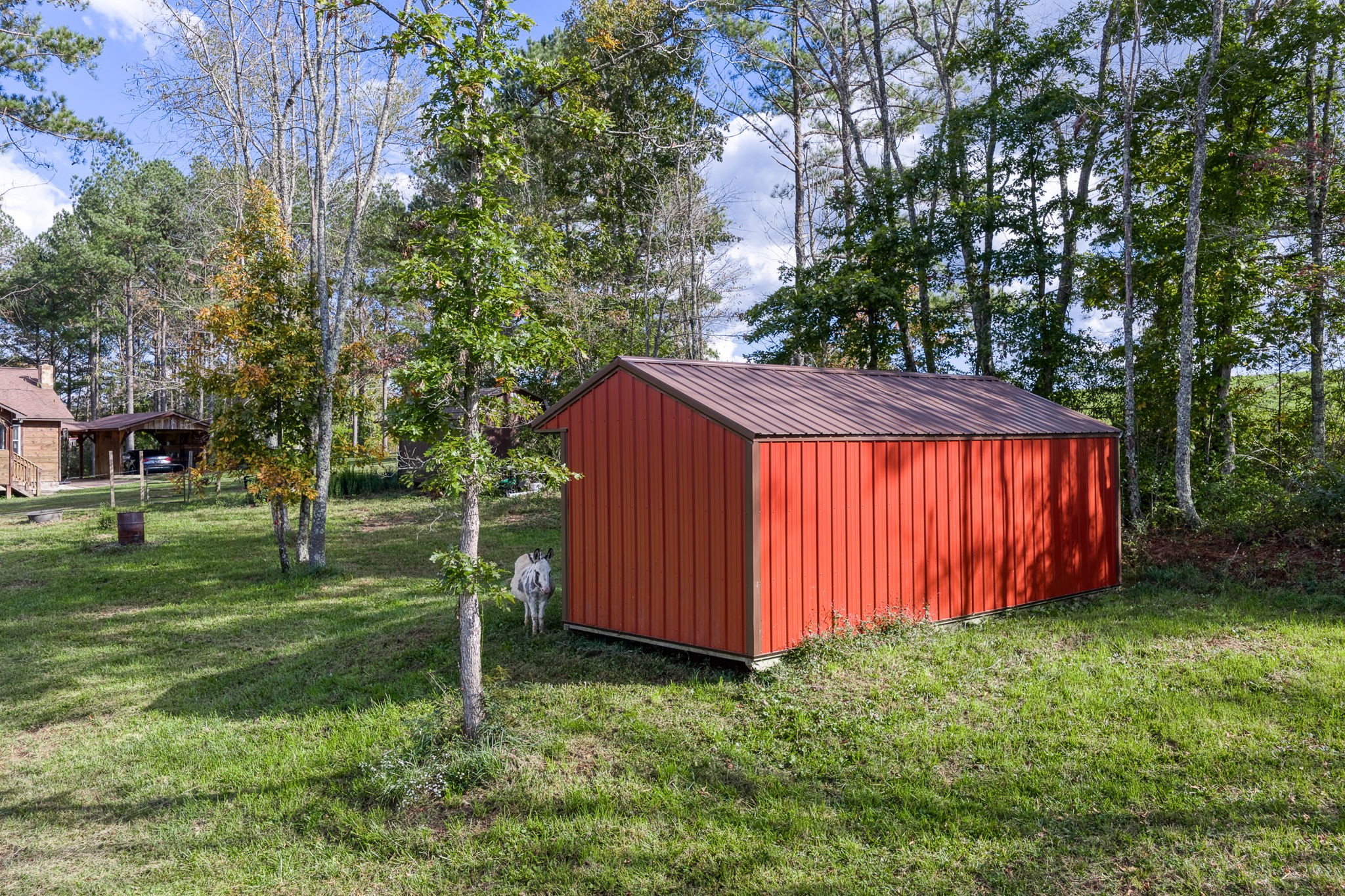 944 Flat Rock Road Crossville, TN 38572 - Photo 37 of 51 a view of backyard with green space