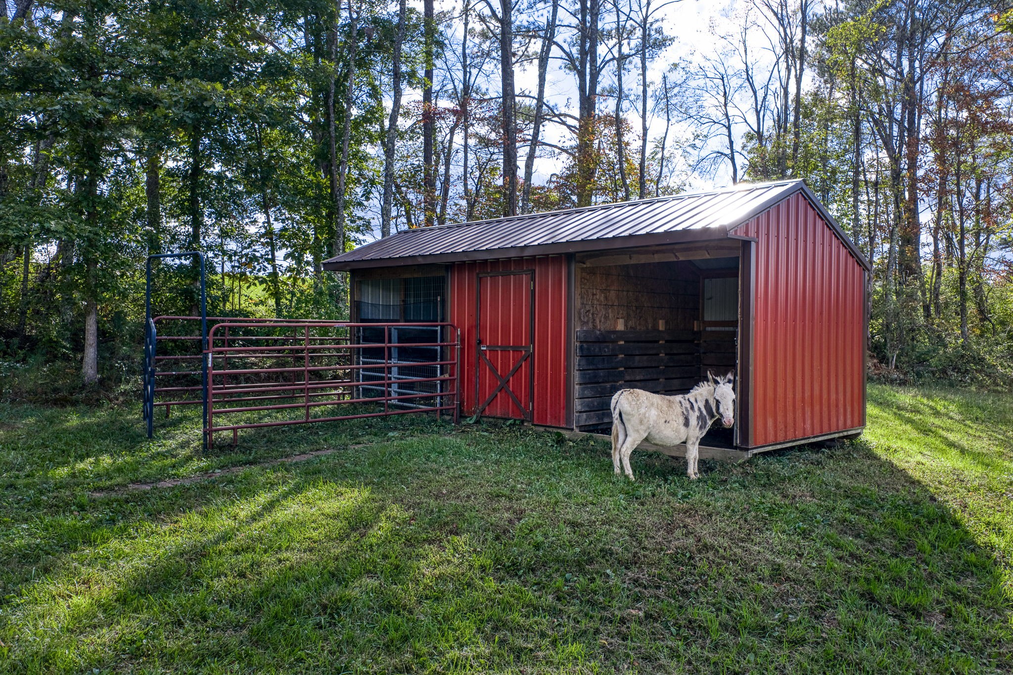 944 Flat Rock Road Crossville, TN 38572 - Photo 38 of 51 a view of a house with backyard and garden