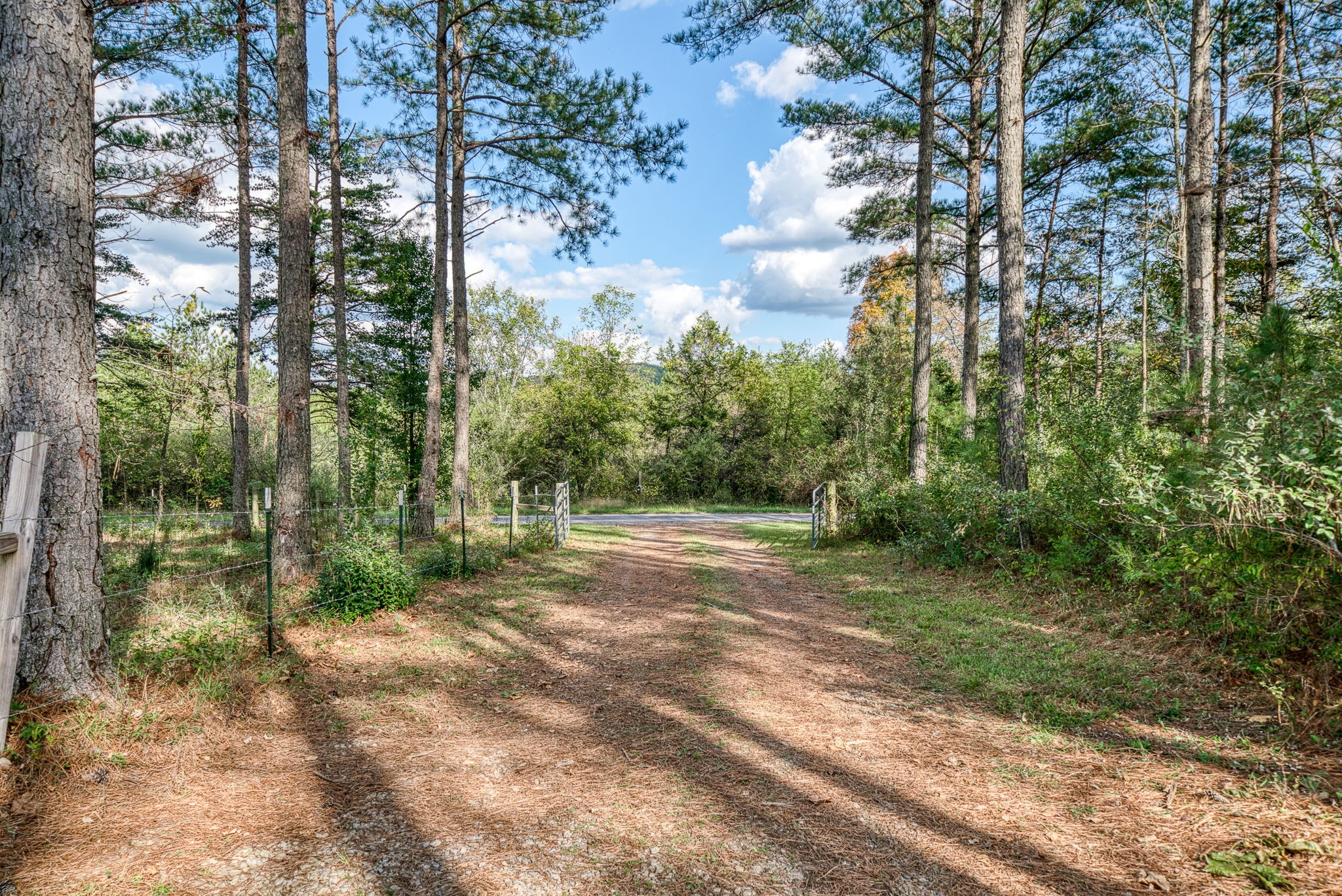 944 Flat Rock Road Crossville, TN 38572 - Photo 39 of 51 a view of a yard with plants and trees