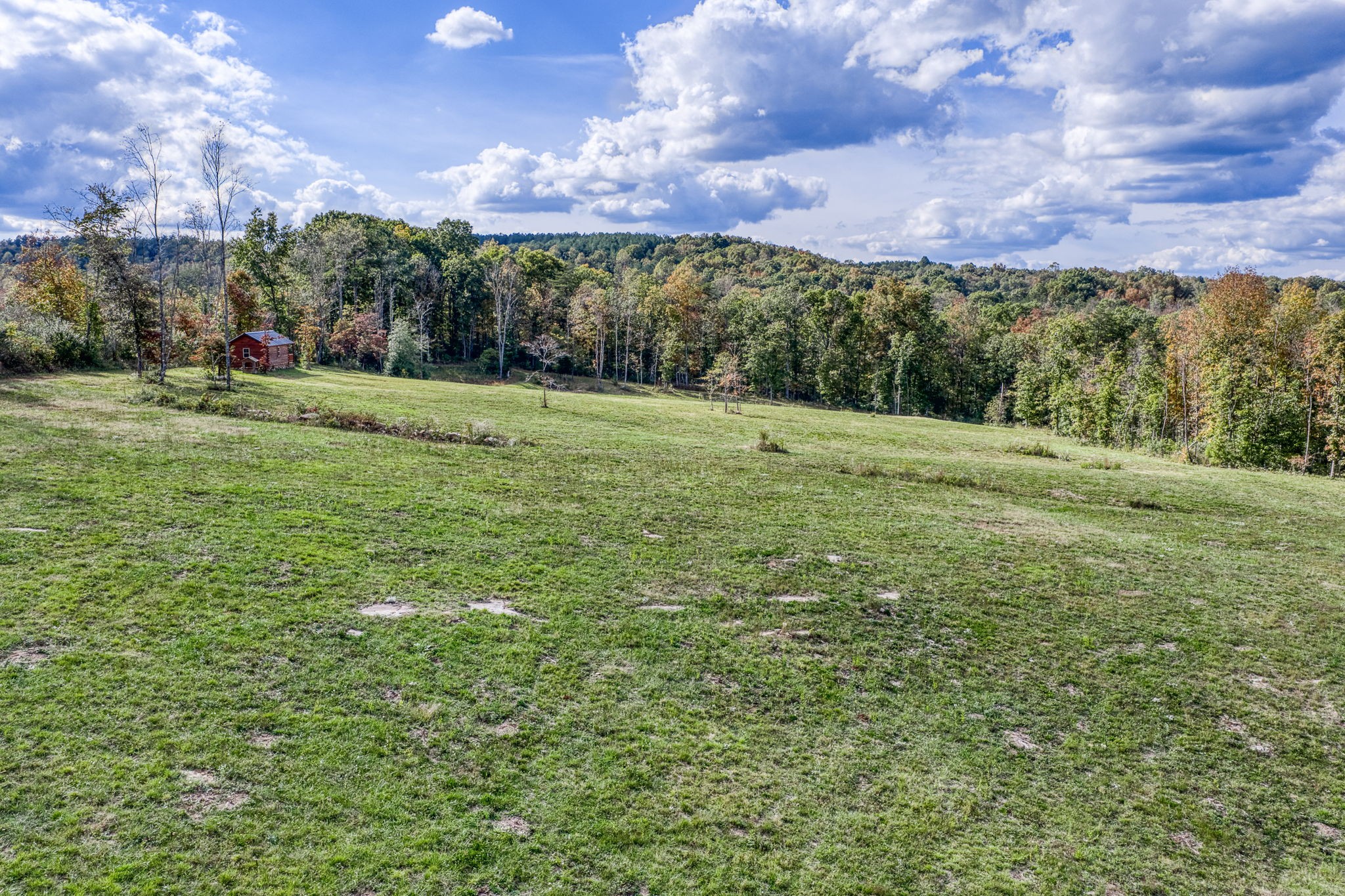 944 Flat Rock Road Crossville, TN 38572 - Photo 43 of 51 a view of a building with a yard