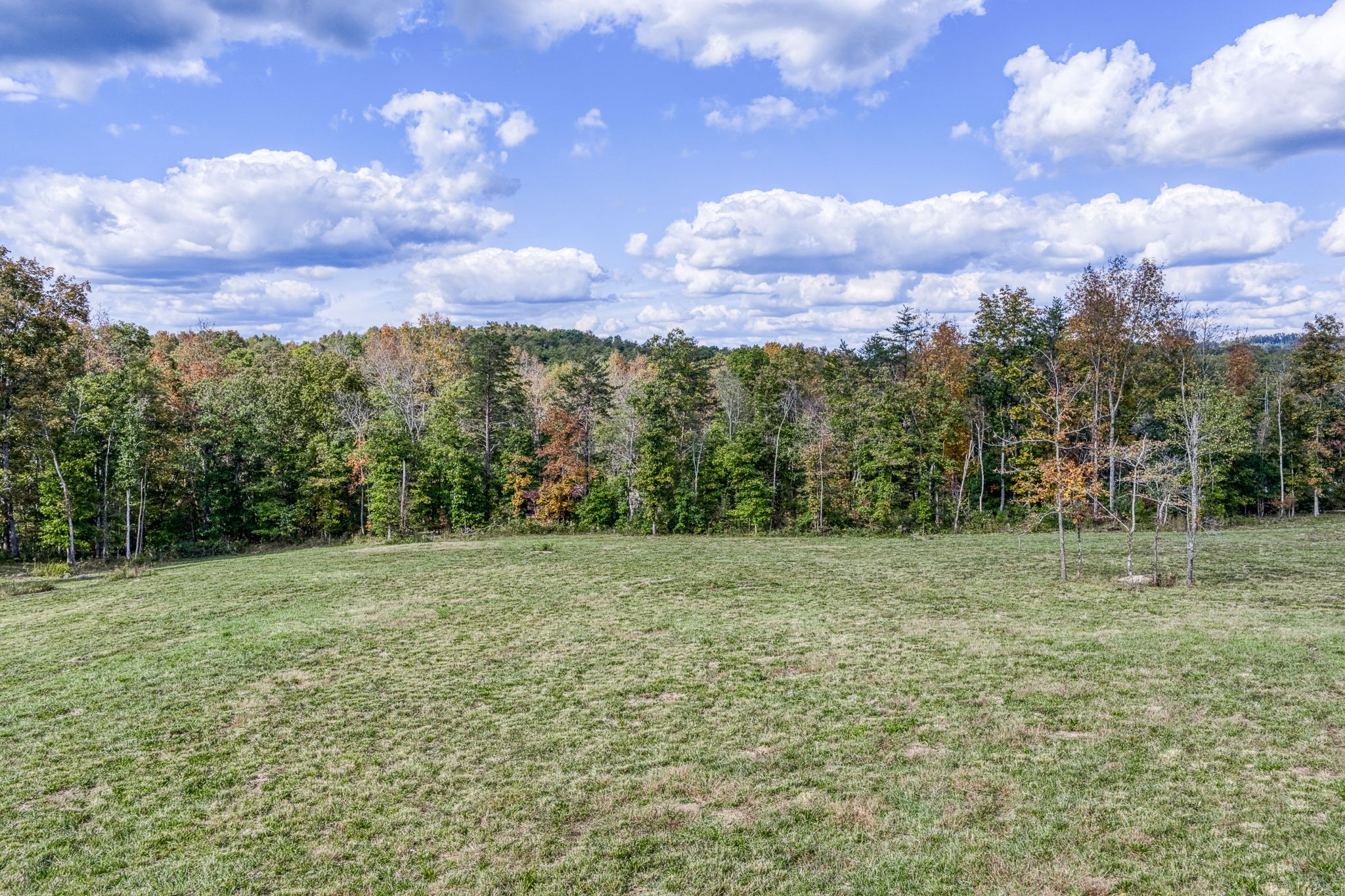 944 Flat Rock Road Crossville, TN 38572 - Photo 44 of 51 a view of outdoor space and yard