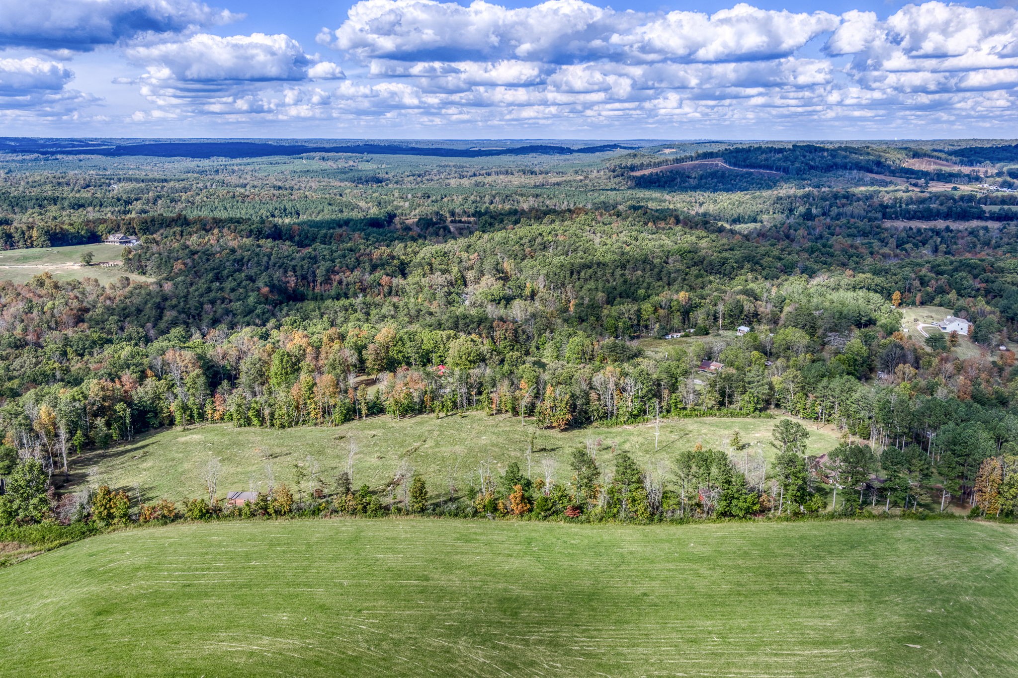 944 Flat Rock Road Crossville, TN 38572 - Photo 45 of 51 a view of a field with an trees