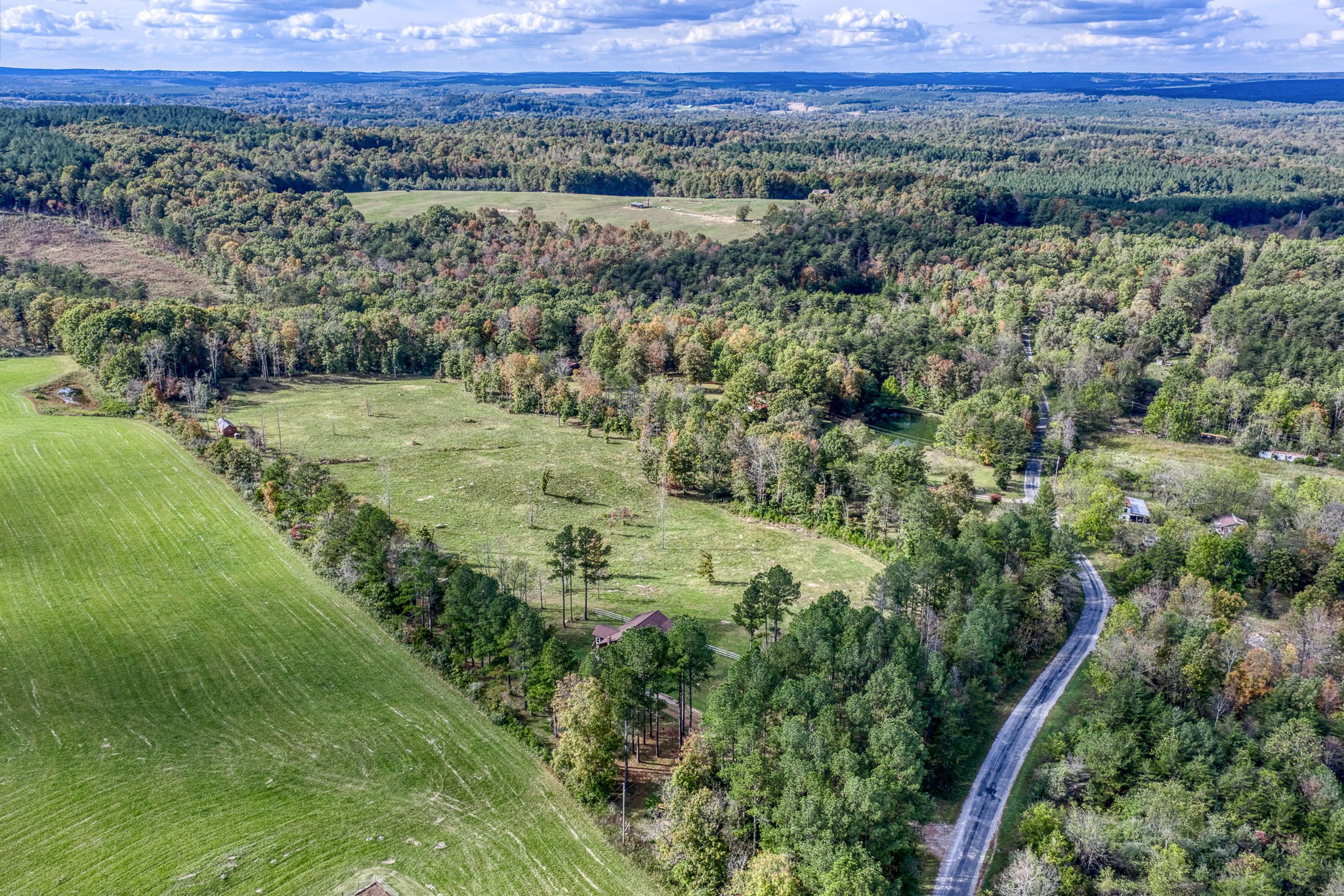 944 Flat Rock Road Crossville, TN 38572 - Photo 46 of 51 a view of a lush green forest with lots of trees