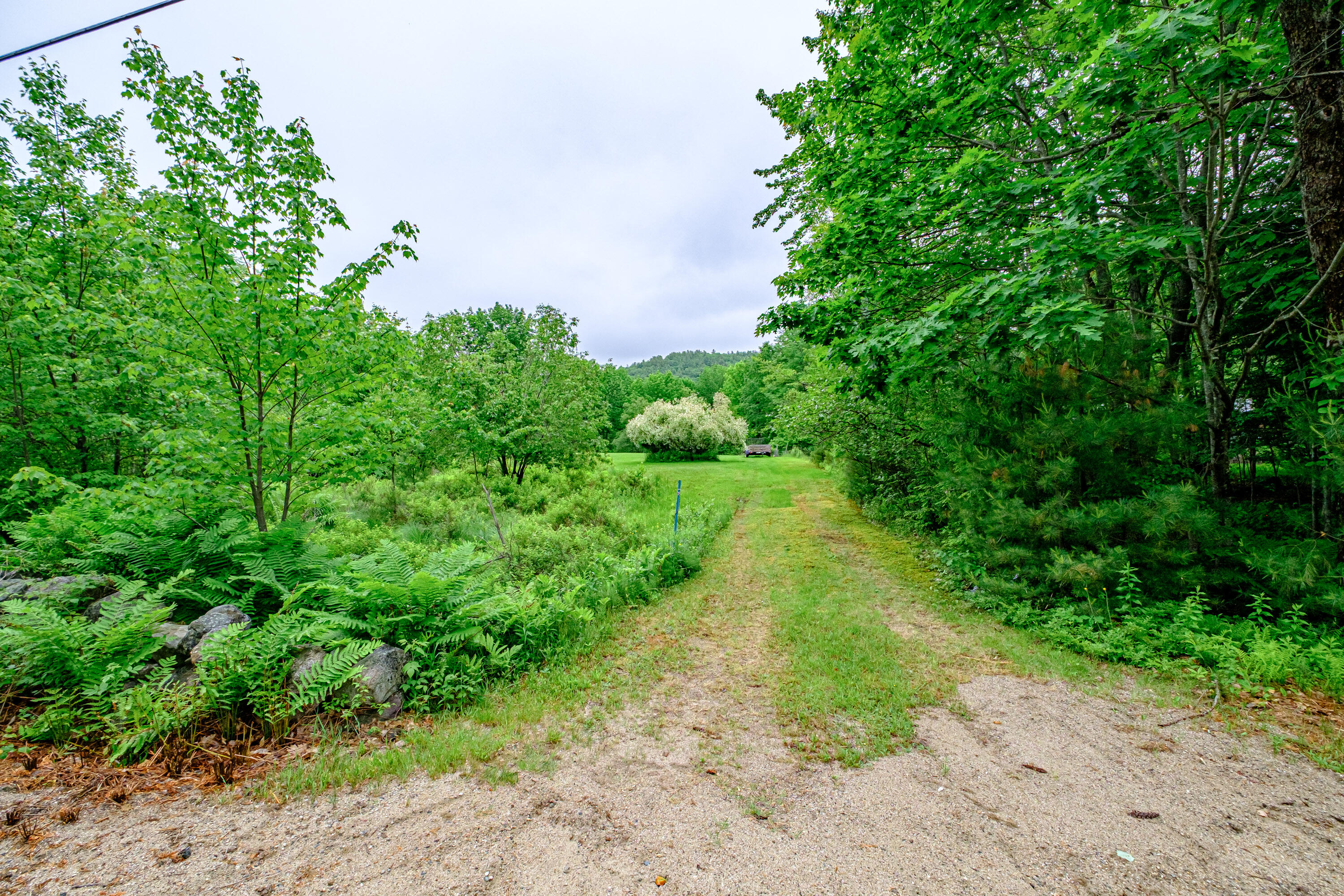 115 Wards Hill Road Baldwin, ME 04091 - Photo 33 of 77 20250610gp-64062