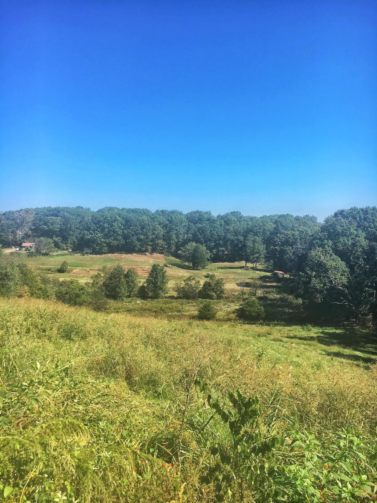 0 Forkner Chapel Road Sweetwater, TN 37874 - Photo 1 of 3