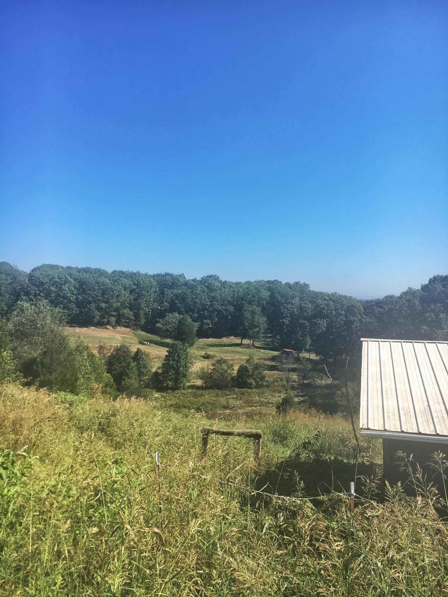 0 Forkner Chapel Road Sweetwater, TN 37874 - Photo 2 of 3