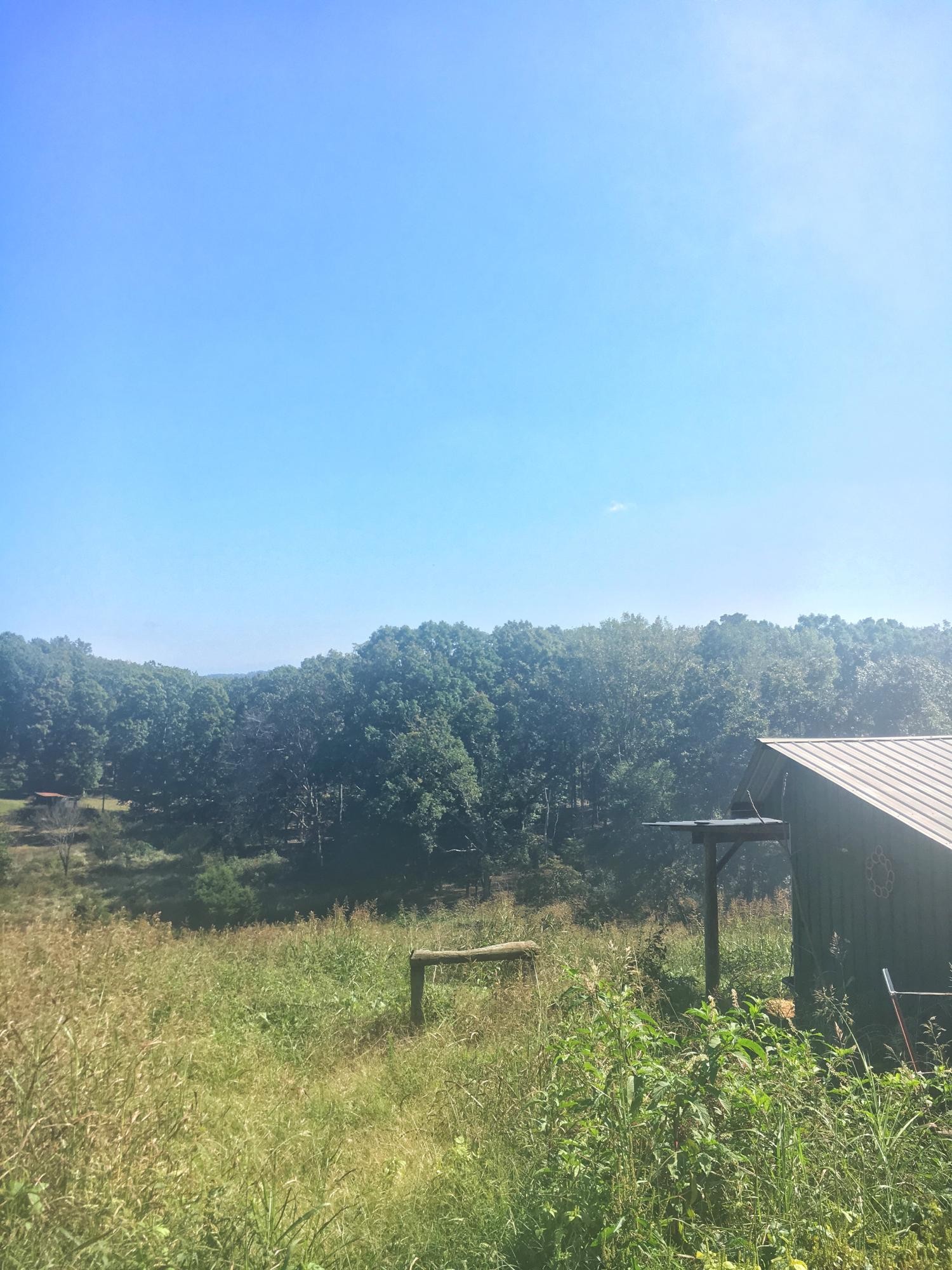 0 Forkner Chapel Road Sweetwater, TN 37874 - Photo 3 of 3