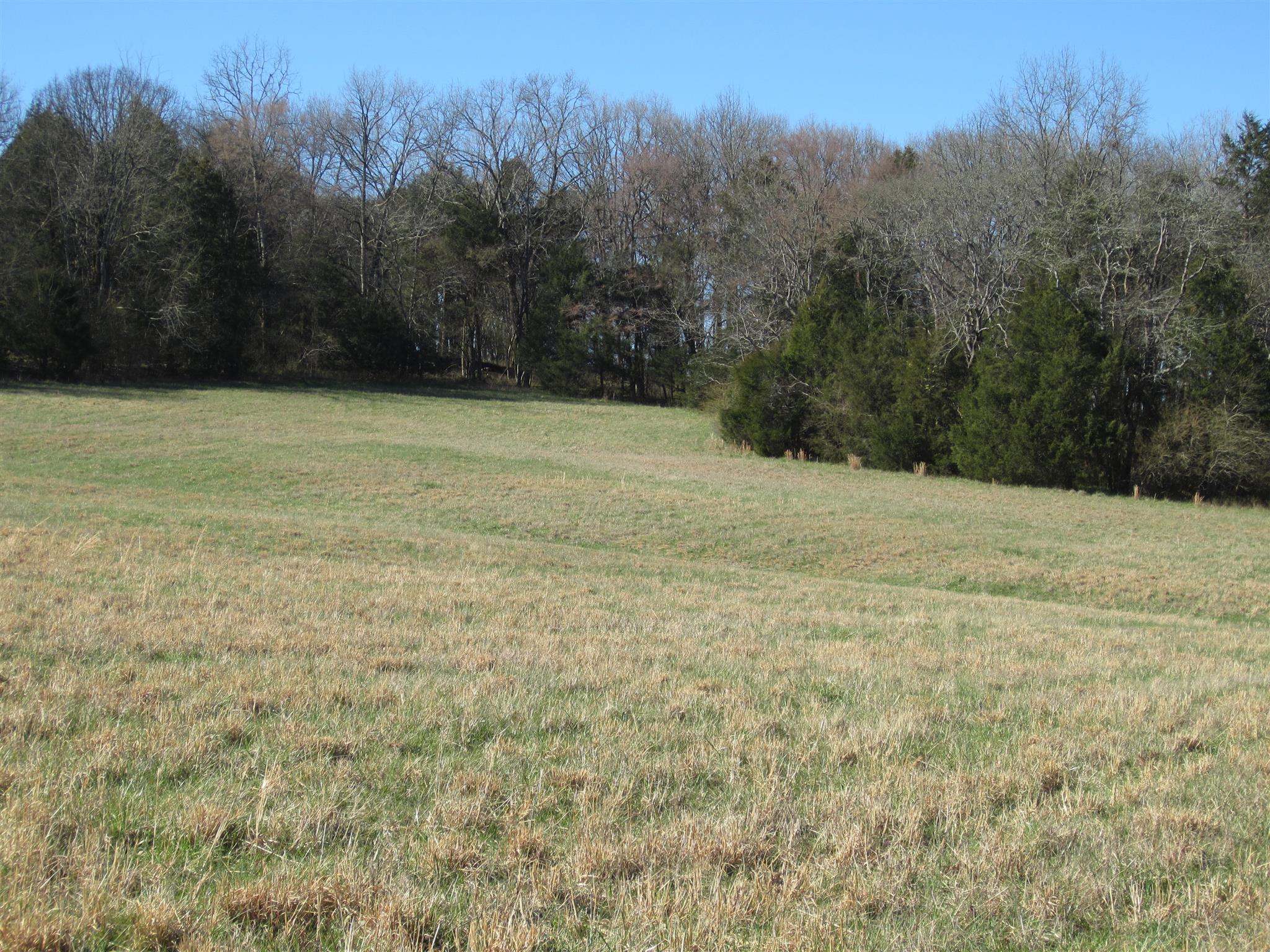 0 John Sugg Road Fayetteville, TN 37334 - Photo 5 of 9 a view of basketball court