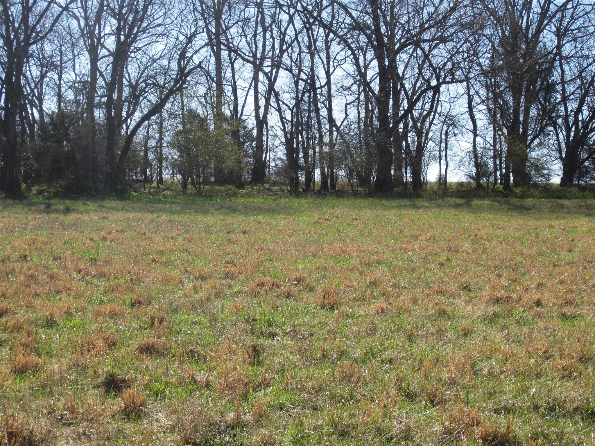 0 John Sugg Road Fayetteville, TN 37334 - Photo 7 of 9 a view of a yard